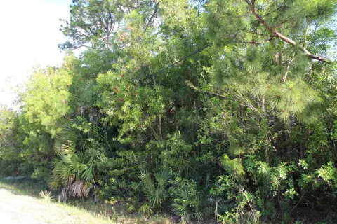 16897 89th N, Loxahatchee, FL 33470