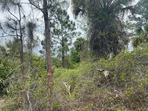 585 S Palomino St, Clewiston, FL 33440