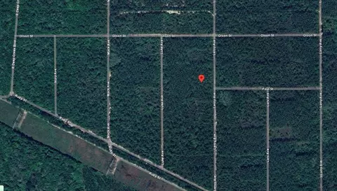 0 Leroy Ave, Hastings, FL 32145