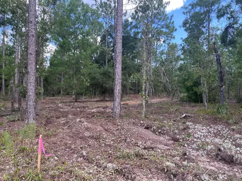 311 Himalayan St, Interlachen, FL 32148