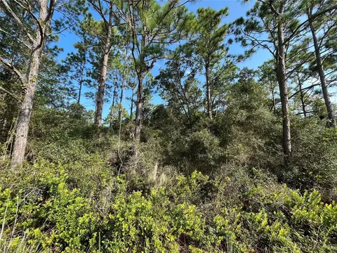 159 Deer Rd, Satsuma, FL 32189