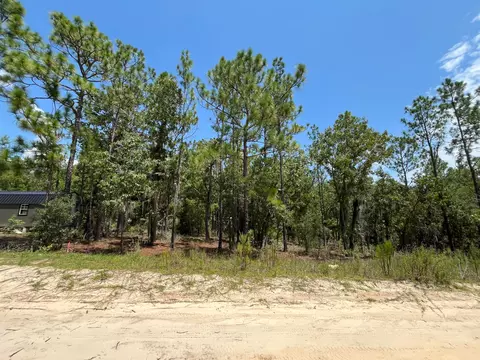 424 Nova Scotia, Interlachen, FL 32148