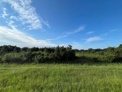 18684 NW 304th St, Okeechobee, FL 34972