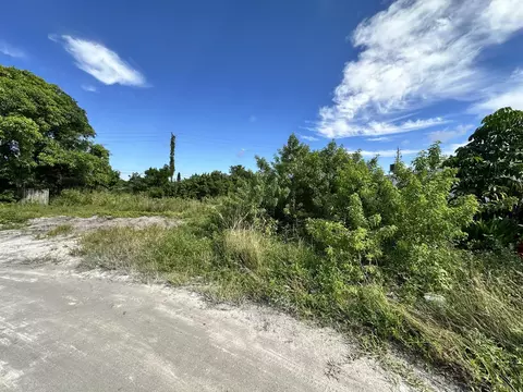 4561 Hairland Dr, West Palm Beach, FL 33415
