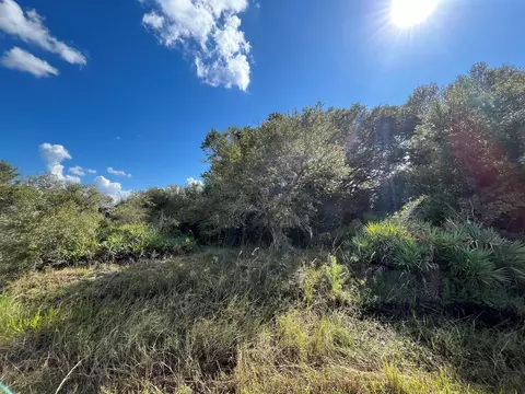 21872 NW 278th St, Okeechobee, FL 34972