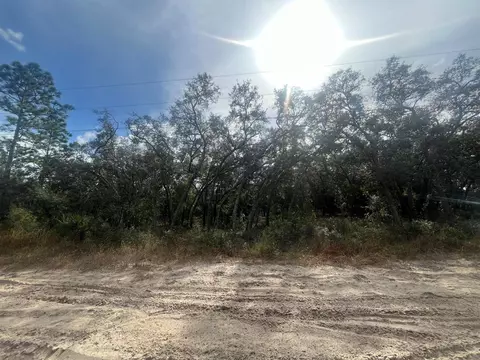 4386 W Roadrunner Ct, Homosassa, FL 34446