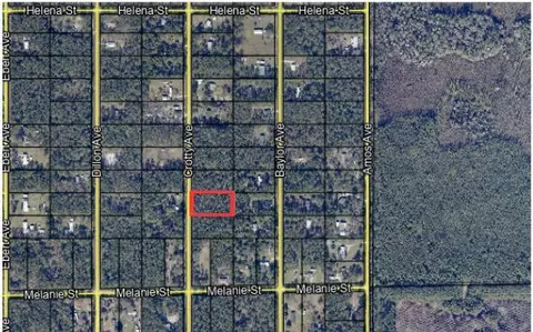 9940 Crotty Ave, Hastings, FL 32145