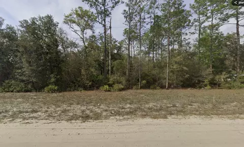 tbd Hudson St, Interlachen, FL 32148