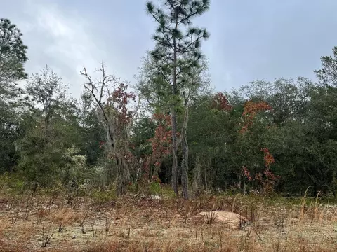 tbd Marion Ave #7, Interlachen, FL 32148
