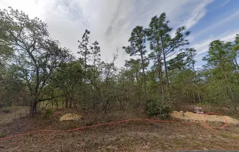 13 Pagoda Dr, Homosassa, FL 34446