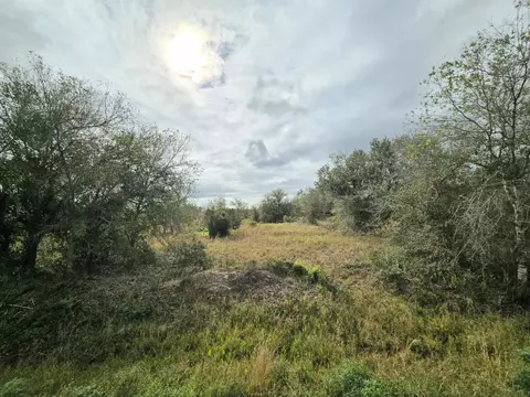17376 NW 256th St, Okeechobee, FL 34972