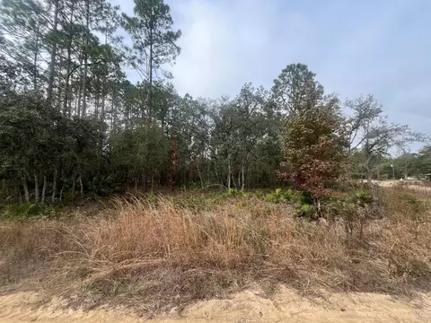0 Robin Rd, Interlachen, FL 32148