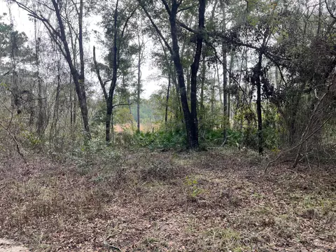 Undisclosed, Interlachen, FL 32148