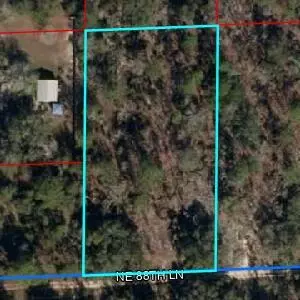 0 NE 88th Ln, Bronson, FL 32621