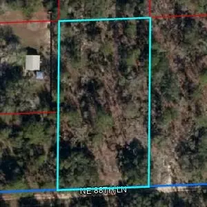 Undisclosed, Bronson, FL 32621