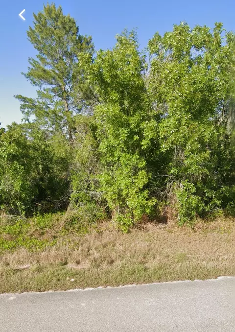 Undisclosed, Lake Placid, FL 33852