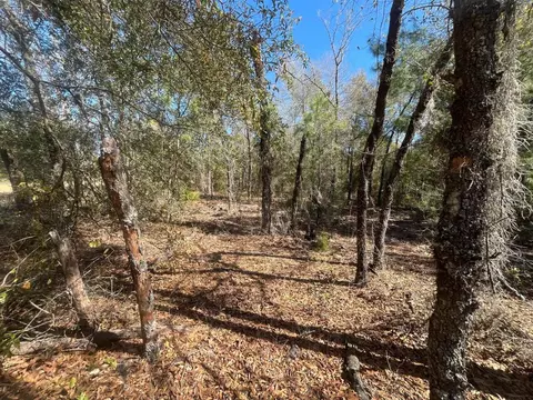 tbd Kitty, Interlachen, FL 32148