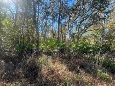 tbd Scott St, Interlachen, FL 32148