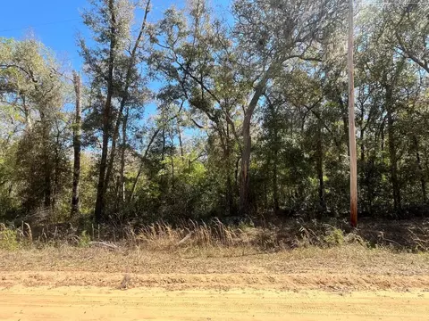 tbd Walker, Interlachen, FL 32148