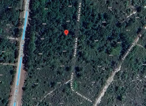 6487 Palma Ceia Ave, Sebring, FL 33872