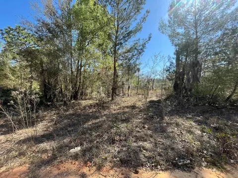 tbd Lily Dr, Interlachen, FL 32148