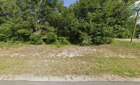 tbd SE 141st Ave, Ocklawaha, FL 32179