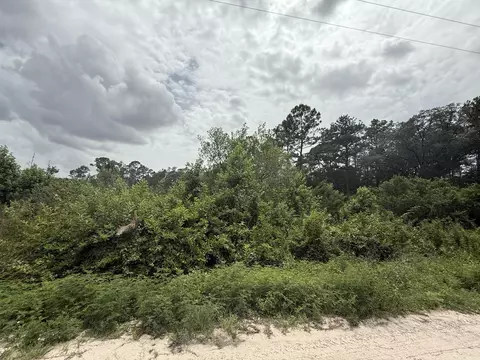 129 Fishermans Dr, Interlachen, FL 32148