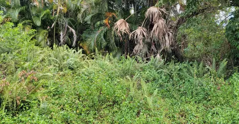 Nnn Kansas Avenue, Stuart, FL 34997