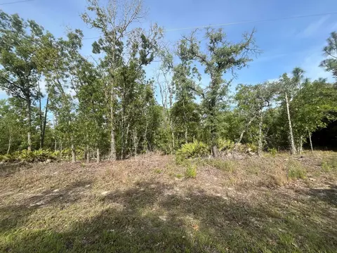 1321 W Delores Dr, Citrus Springs, FL 34434
