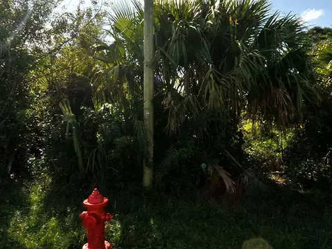 884 SW Mccoy Ave, Port St Lucie, FL 34953