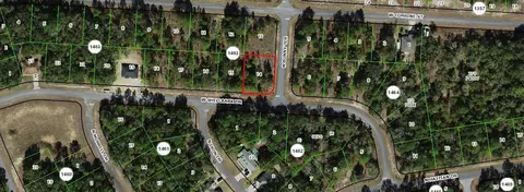 1975 W Shellbark Dr, Citrus Springs, FL 34434