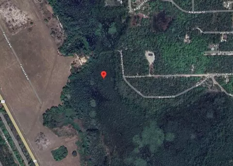101 Washington Ave, Satsuma, FL 32189