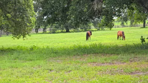 4567 State Road 710, Okeechobee, FL 34974 photo 2