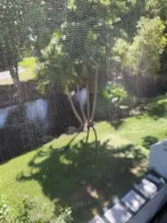 303 Racquet Club Rd #201, Weston, FL 33326