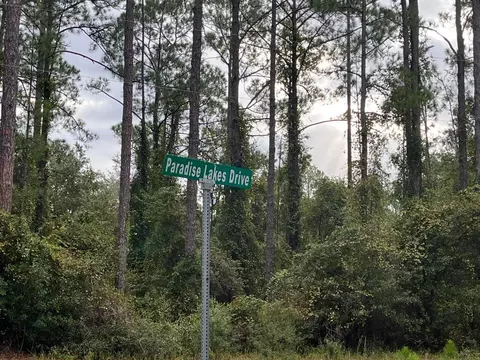 108 SE 5th St, Georgetown, FL 32139 photo 4