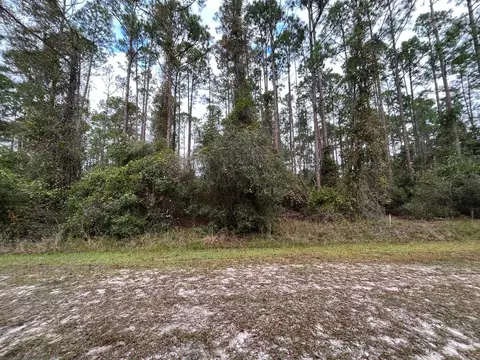 108 SE 5th St, Georgetown, FL 32139