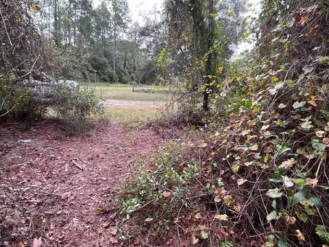 108 SE 5th St, Georgetown, FL 32139 photo 2