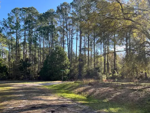 104 SE 5th St, Georgetown, FL 32139 photo 5