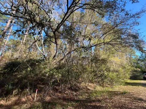 104 SE 5th St, Georgetown, FL 32139 photo 3