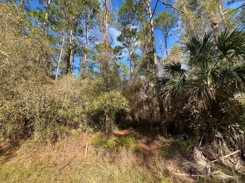 104 SE 5th St, Georgetown, FL 32139 photo 4