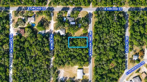 6634 N Pagoda Tree Ter, Hernando, FL 34442