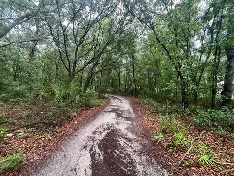 tbd Delaware Ave, Interlachen, FL 32148 photo 6