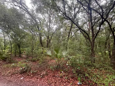 tbd Delaware Ave, Interlachen, FL 32148 photo 5