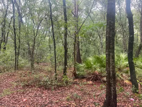 tbd Delaware Ave, Interlachen, FL 32148