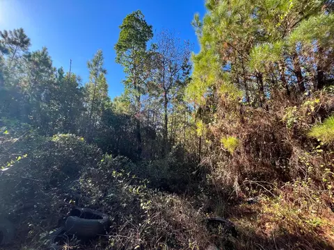 223 Mourning Dove Rd, Satsuma, FL 32189