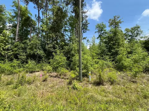 tbd Magnolia Ln, Marianna, FL 32448