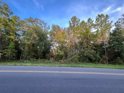 tbd Twin Lakes Rd, Interlachen, FL 32148