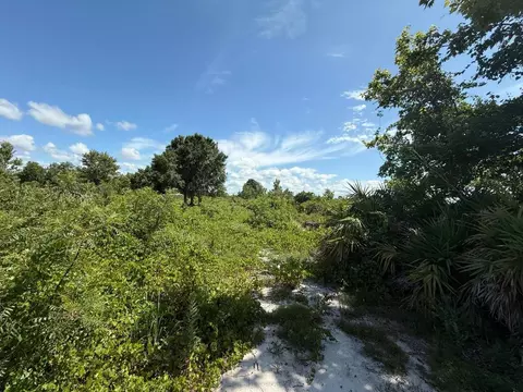 15789 NW 254th St, Okeechobee, FL 34972 photo 7