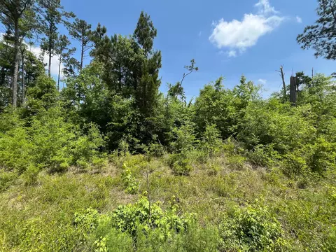 tbd Grand Quiviera Cir, Alford, FL 32420