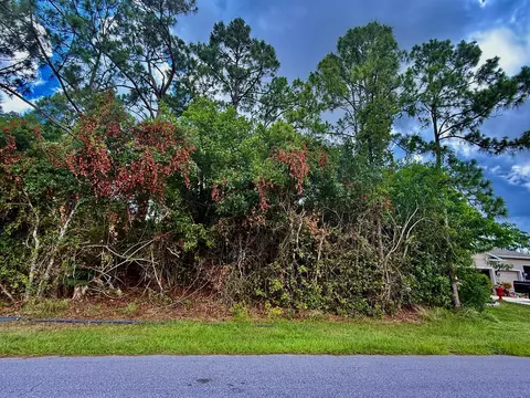 4174 SW Batavia St, Port St Lucie, FL 34953